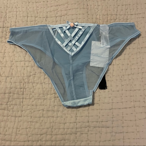 🌸SALE🌸 Felicity Hayward playful promises panties - Picture 2 of 4
